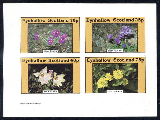 Eynhallow Flower Mixtures Imperf