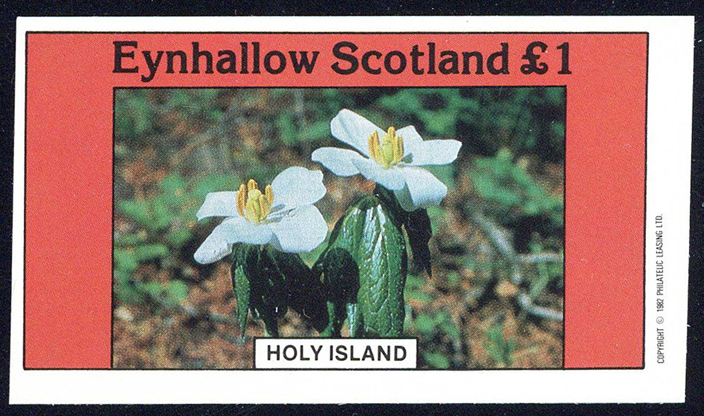 Eynhallow Flower Mixtures £1
