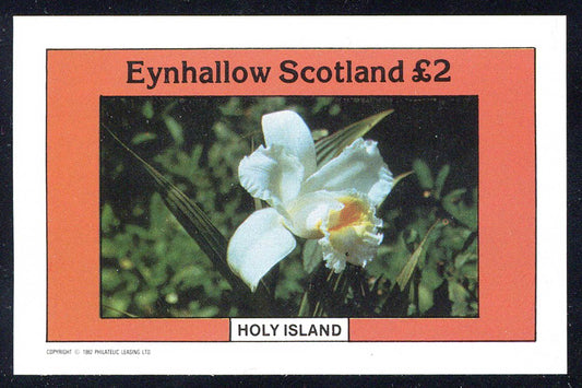 Eynhallow Flower Mixtures £2