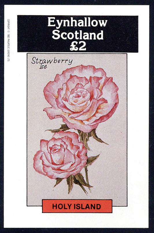 Eynhallow Roses £2