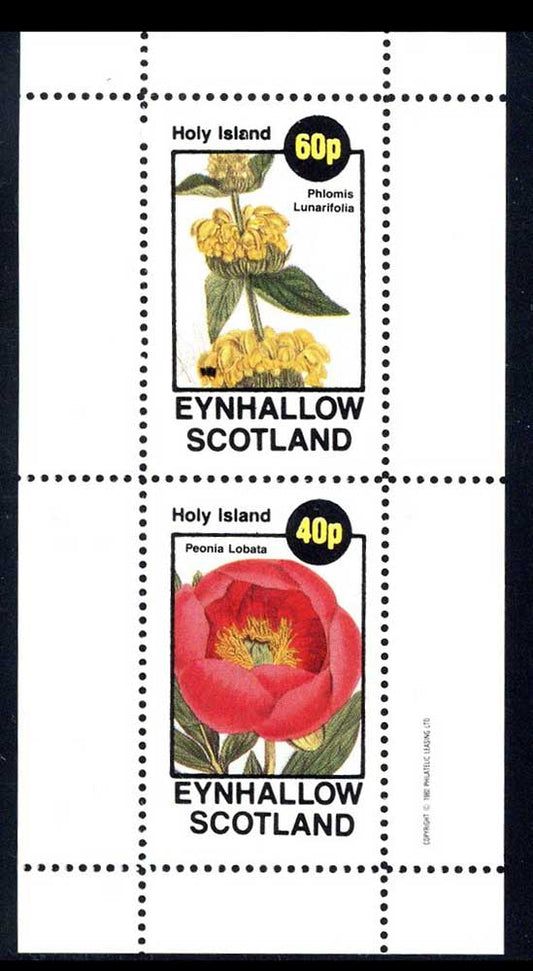 Eynhallow Superb Blooms