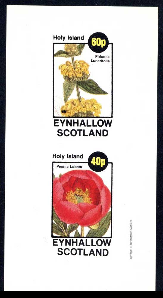 Eynhallow Superb Blooms Imperf
