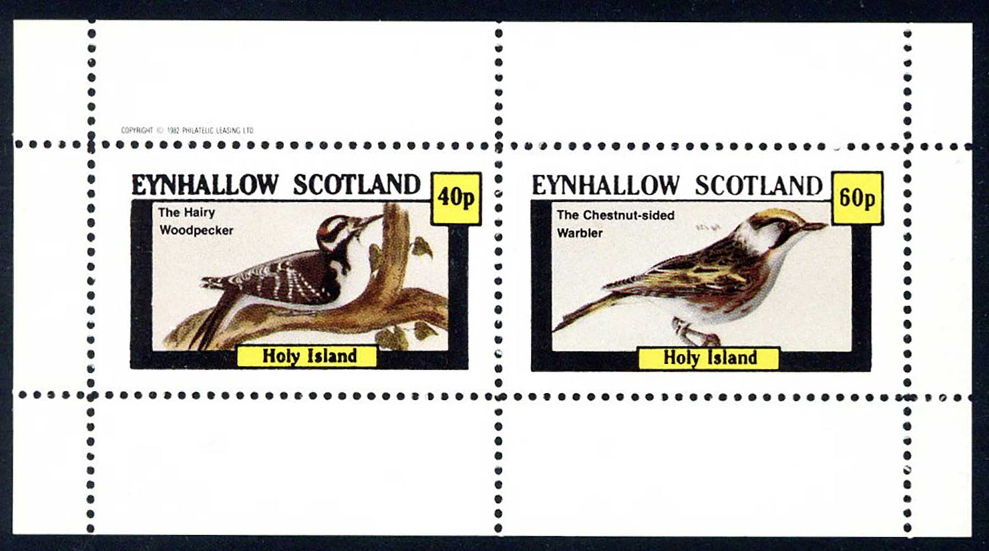 Eynhallow Woodpecker And Other Birds