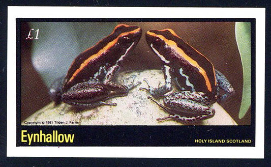 Eynhallow Erotic Frogs £1