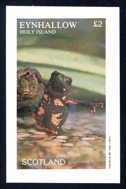 Eynhallow Erotic Frogs £2
