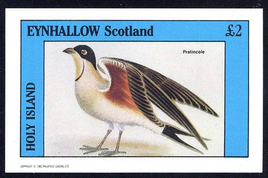 Eynhallow Assorted Birds £2