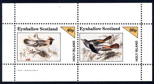 Eynhallow Meadow Birds