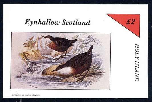 Eynhallow Meadow Birds £2