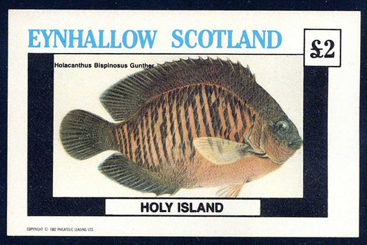 Eynhallow Festive Fish £2