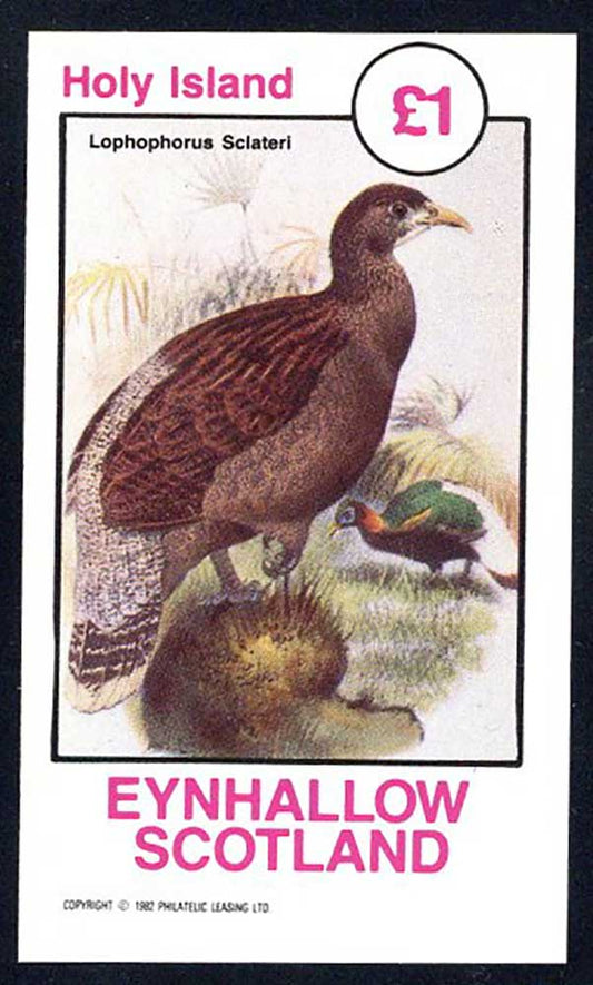 Eynhallow Large Fowls £1