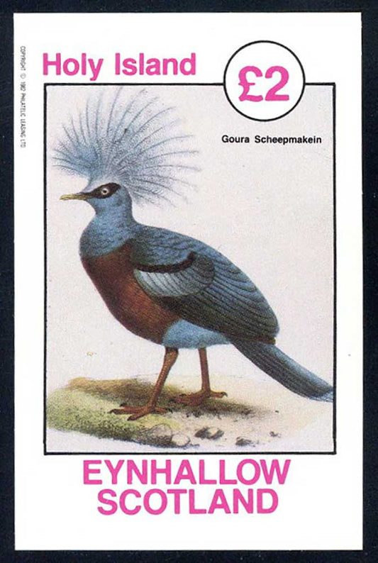 Eynhallow Large Fowls £2