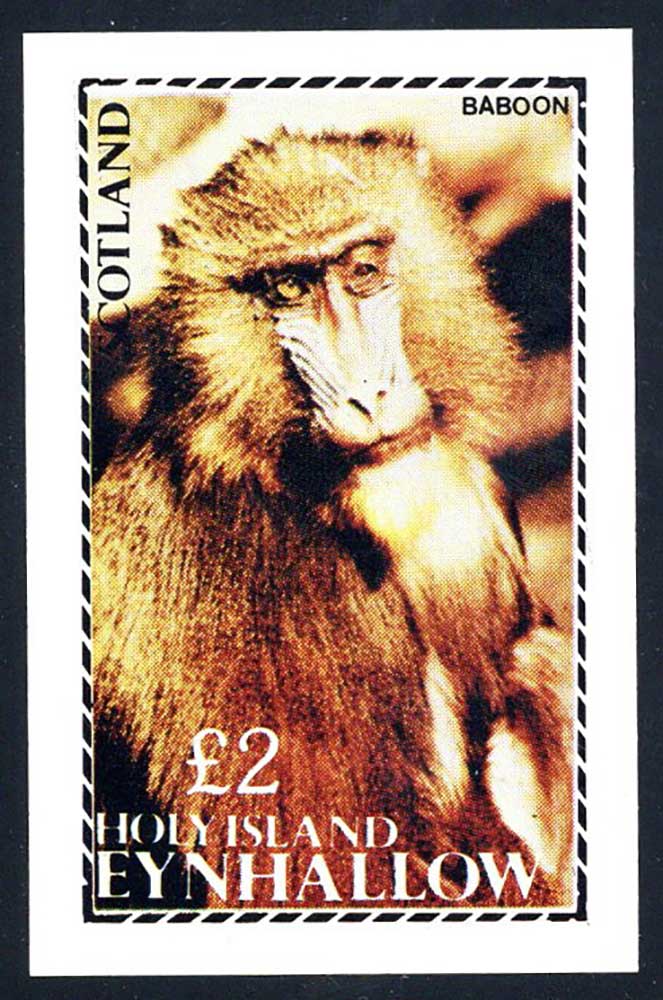 Eynhallow Monkeys £2