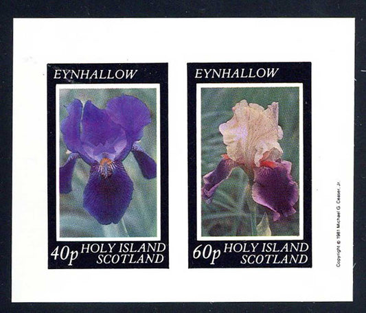 Eynhallow Irises Imperf
