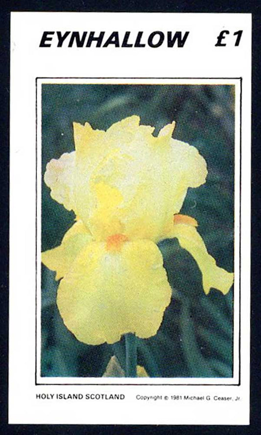 Eynhallow Irises £1