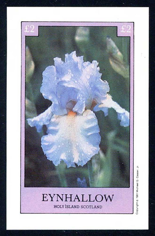 Eynhallow Irises £2