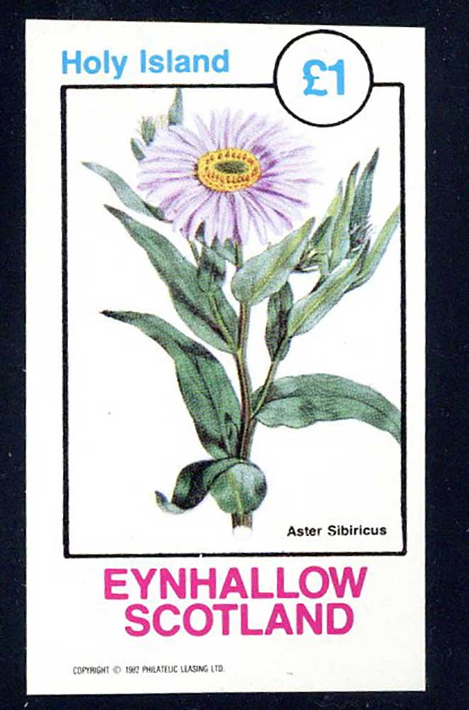 Eynhallow Colorful Flowers £1