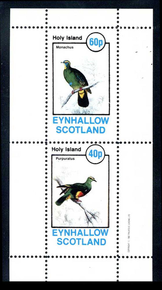 Eynhallow Colorful Pigeons