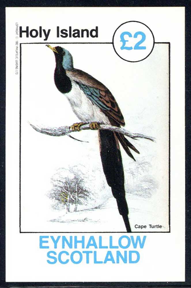 Eynhallow Colorful Pigeons £2