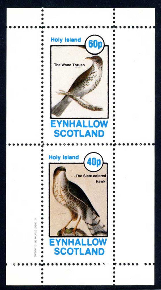 Eynhallow Mixed Fowl And Birds