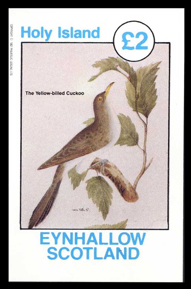 Eynhallow Mixed Fowl And Birds £2