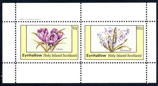 Eynhallow Wild Flower Drawings