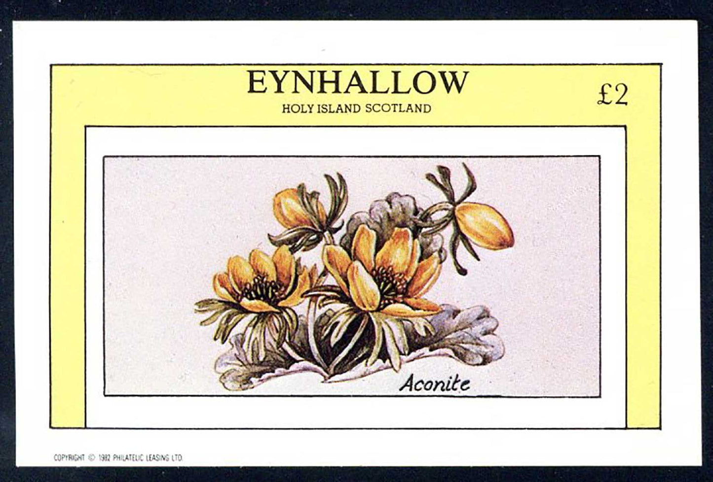Eynhallow Wild Flower Drawings £2