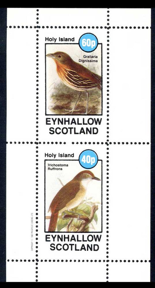 Eynhallow Splendid Birds