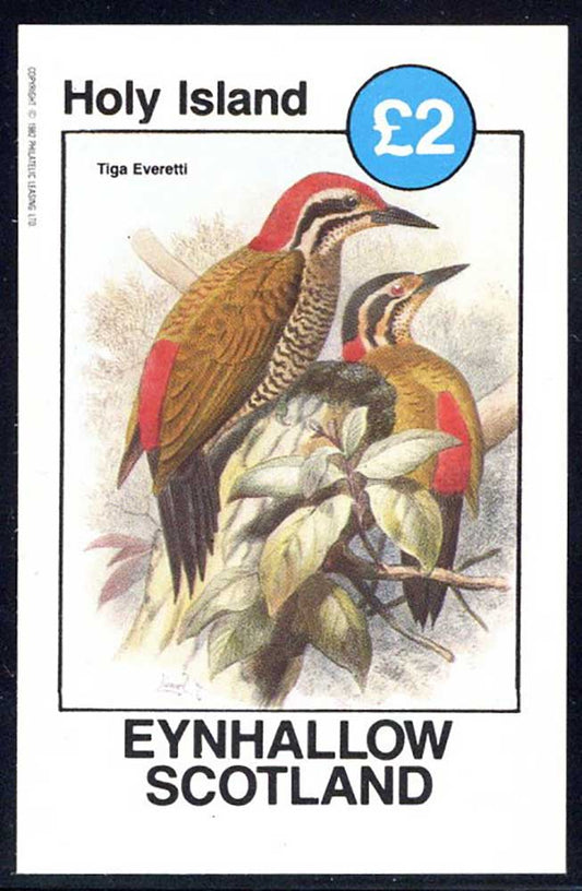 Eynhallow Splendid Birds £2