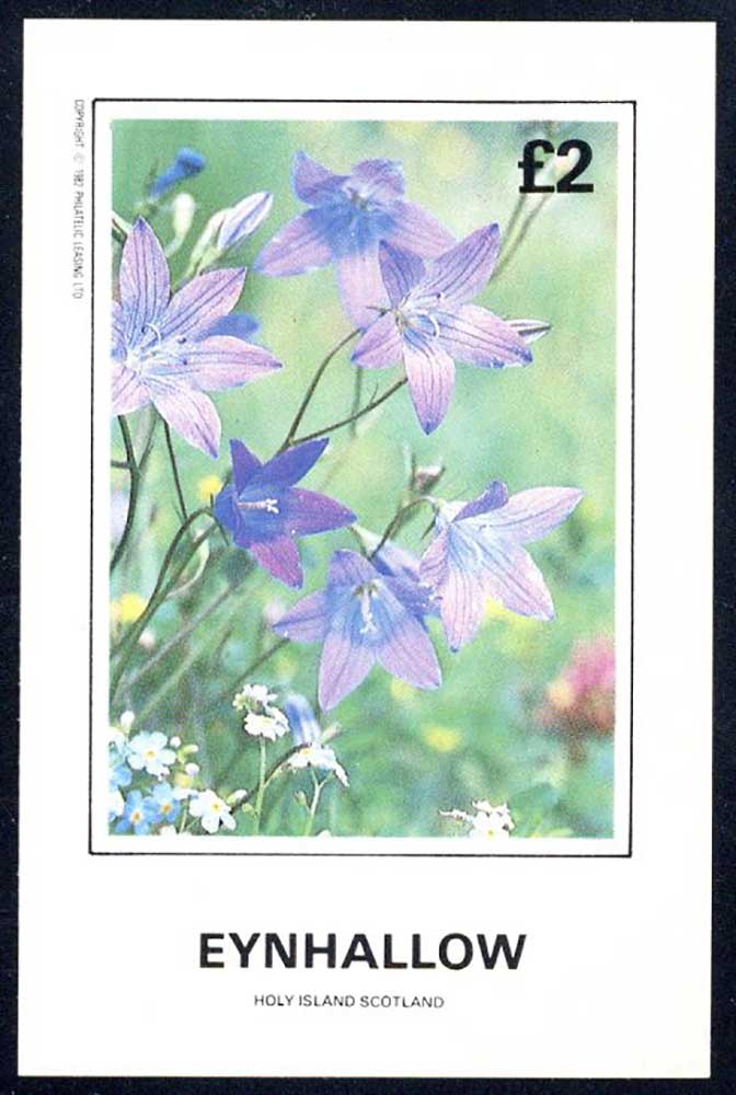 Eynhallow Wild Flowers £2