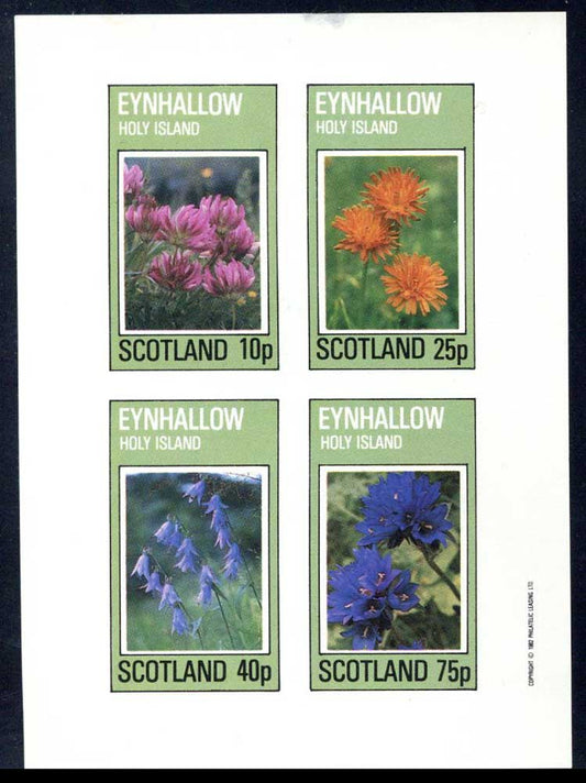 Eynhallow Wild Flowers Imperf