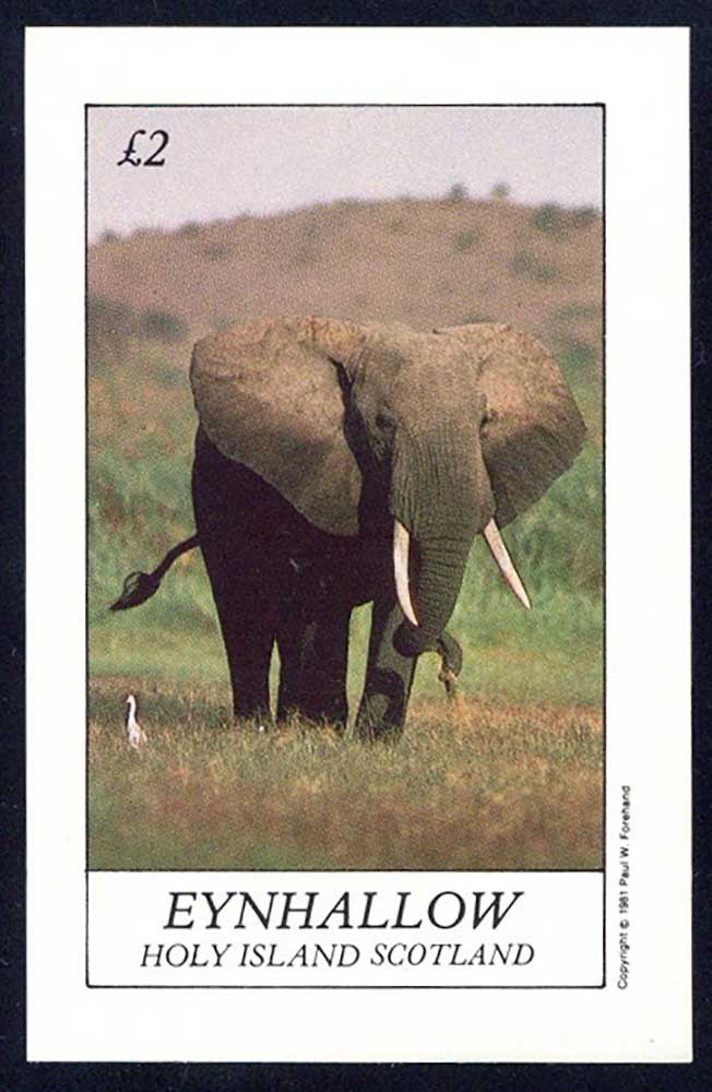 Eynhallow African Mammals £2