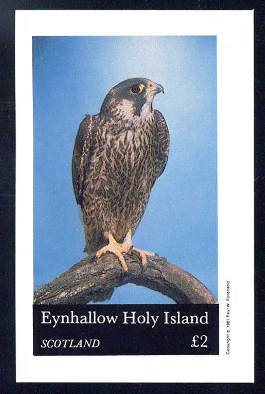 Eynhallow Birds Of Prey £2