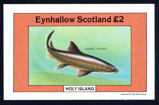 Eynhallow Tropical Fish £2