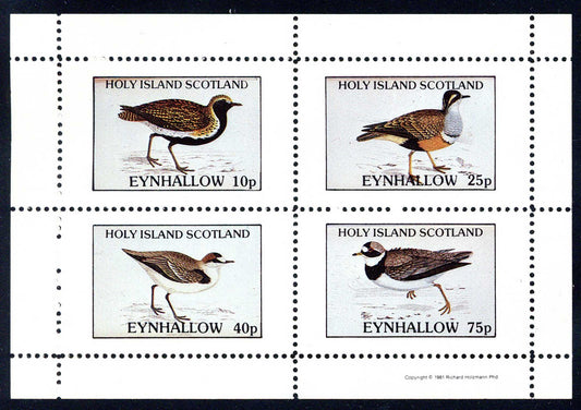Eynhallow Marsh Birds