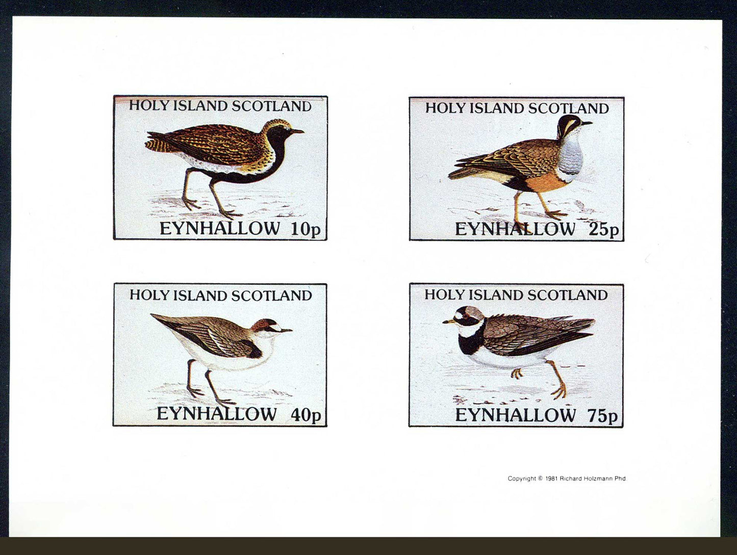 Eynhallow Marsh Birds Imperf