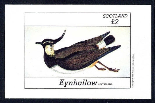 Eynhallow Marsh Birds £2