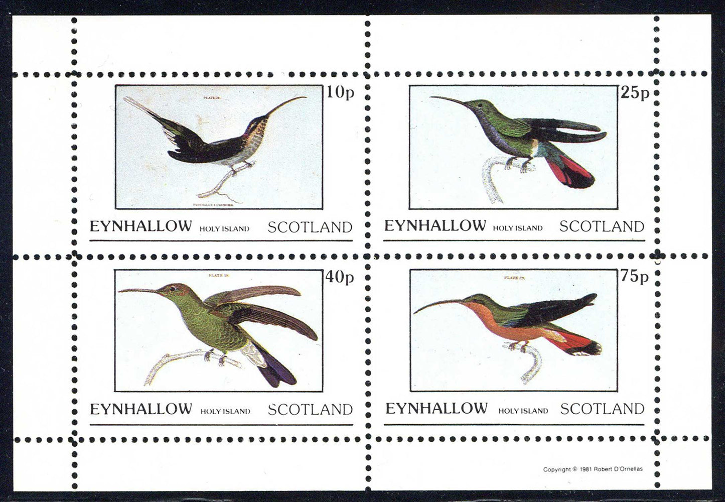 Eynhallow Humming Birds
