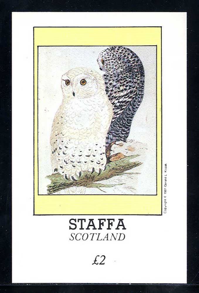 Staffa Hoot Owls £2