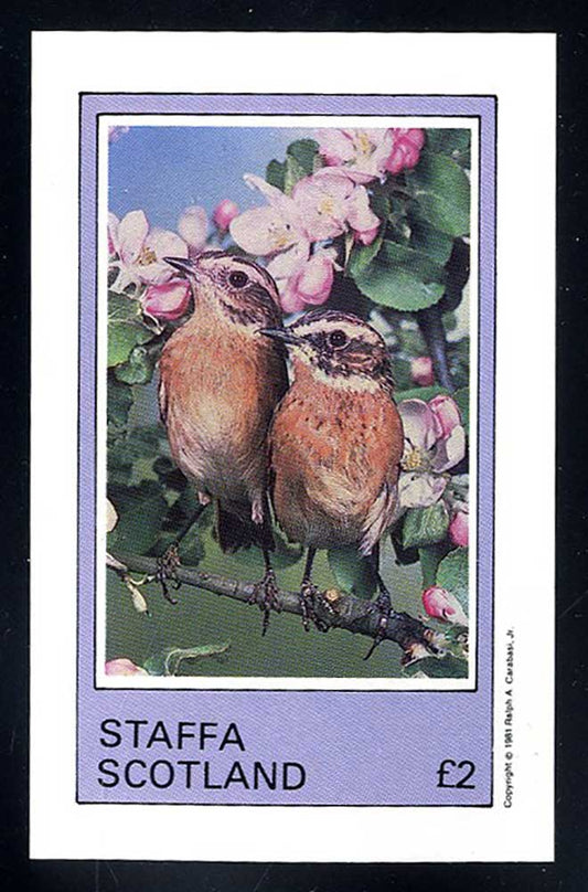 Staffa European Birds £2