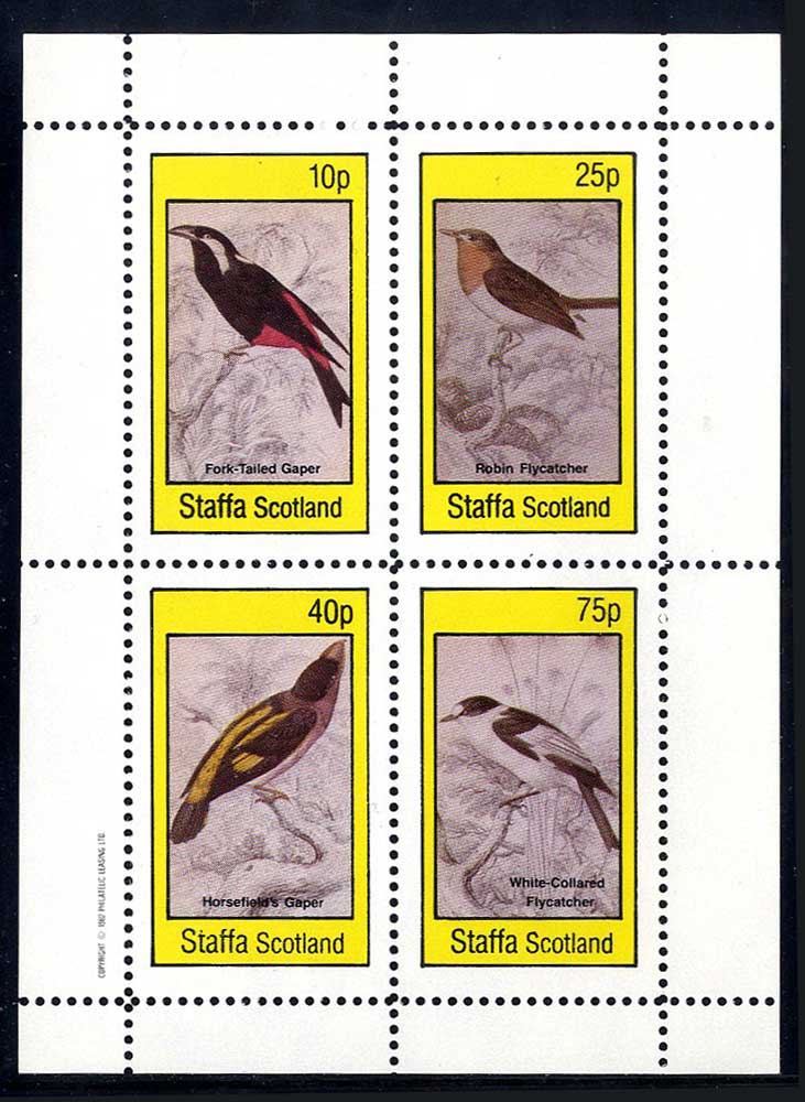Staffa Birds Of Britain