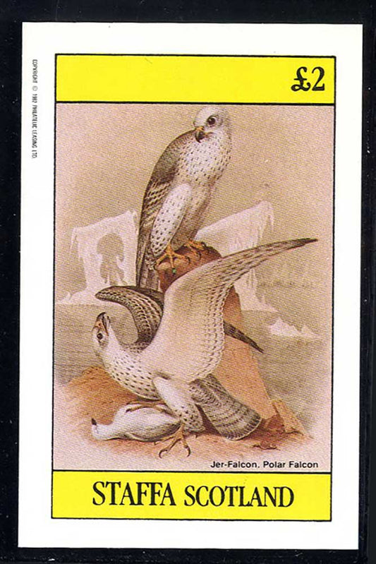 Staffa Birds Of The US I £2