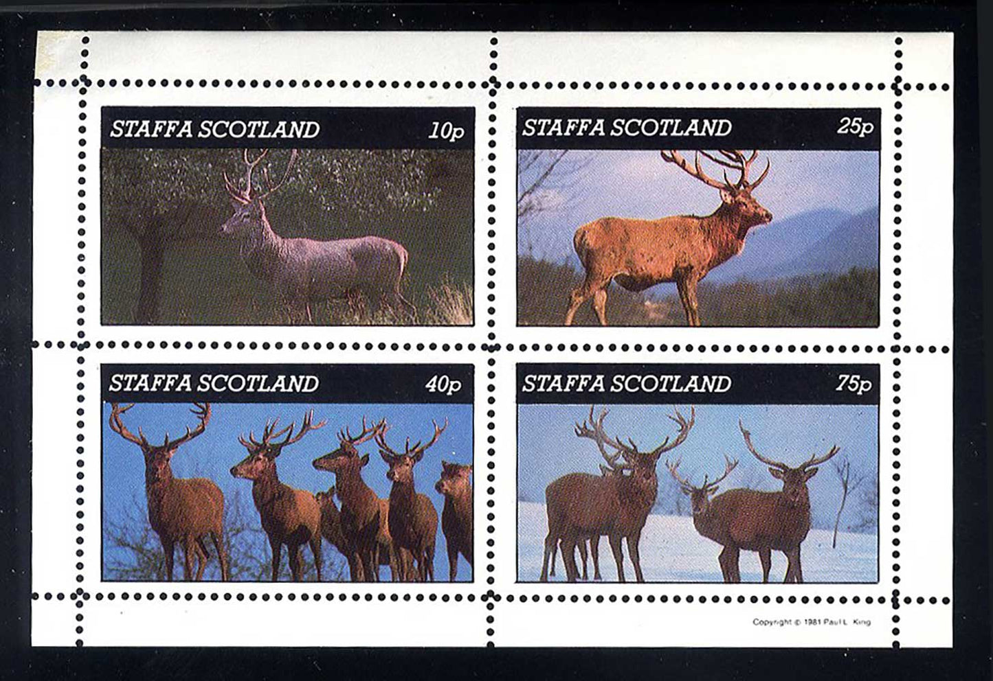 Staffa European Deer