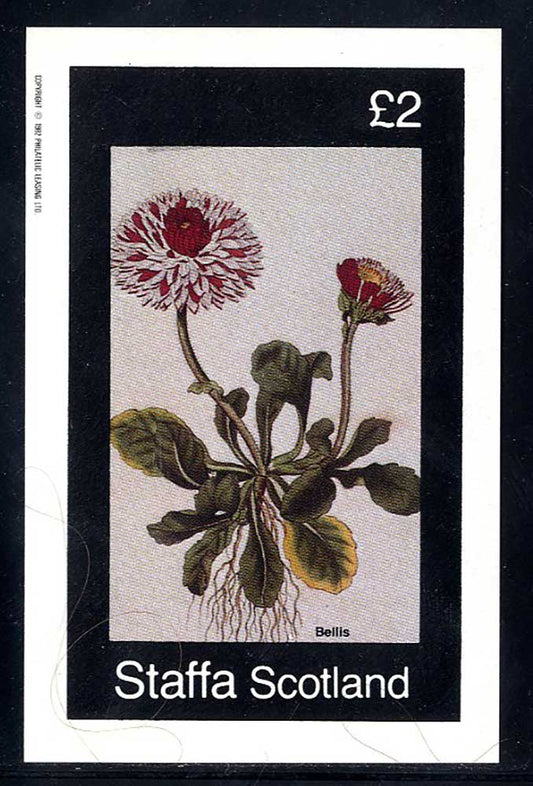 Staffa Botany On Display £2