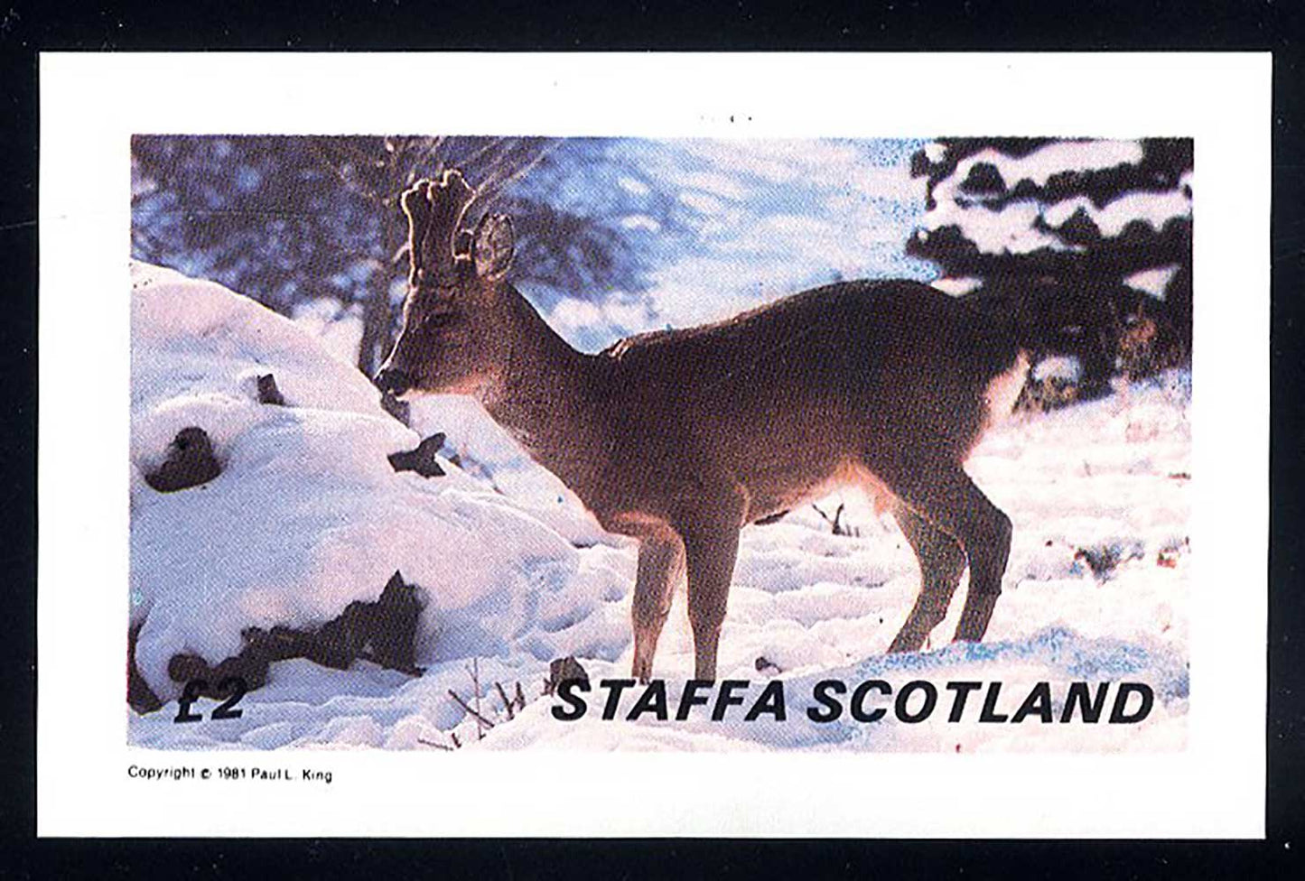 Staffa European Deer £2