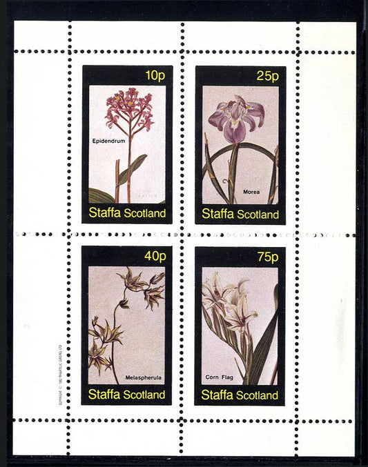 Staffa Field Flowers