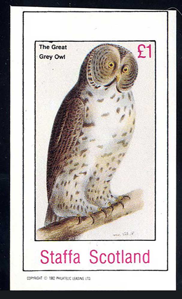 Staffa Owls And Goshawk £1