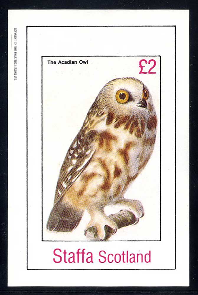 Staffa Owls And Goshawk £2
