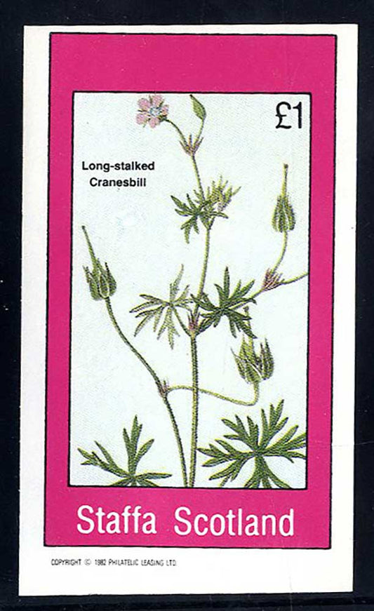 Staffa Botany From The Isles £1