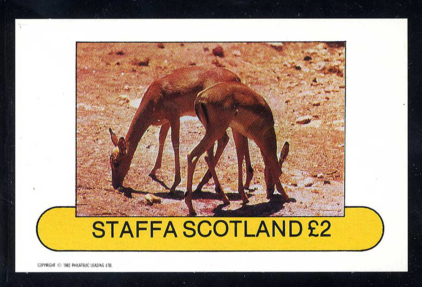 Staffa African Wildlife £2