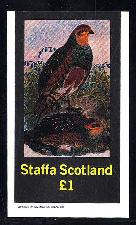 Staffa Game Birds Print £1